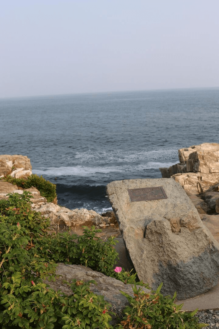 Coastal Breezes, photo 5